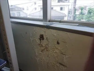 雨漏りによってボロボロになった窓下の内装クロス